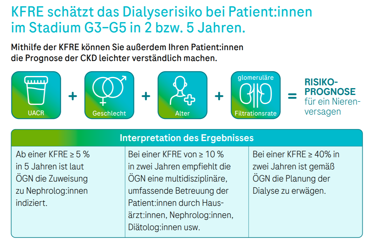 Abbildung zur KDIGO-KFRE (Kidney Failure Risk Equation)
